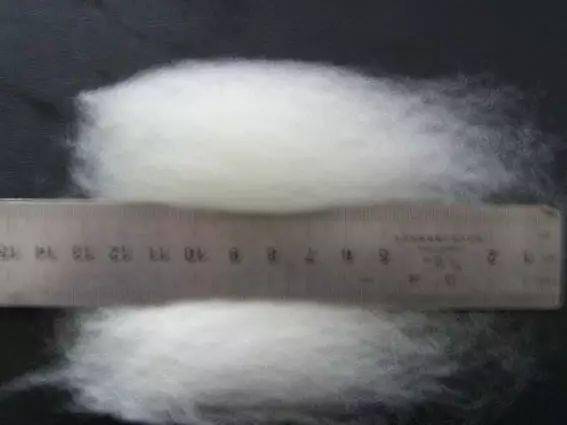 化纖世界入門 認識衣物背后的化學(xué)纖維基本概念與代號